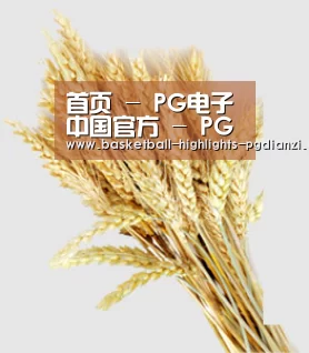 首页 - PG电子中国官方 - PGSoft