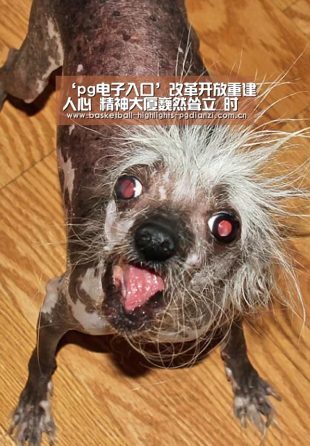 ‘pg电子入口’改革开放重建人心 精神大厦巍然耸立_时事政治_中公教育网(图1) pg娱乐平台