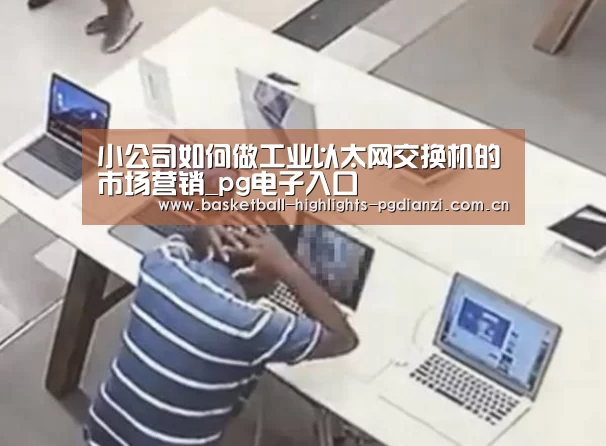 小公司如何做工业以太网交换机的市场营销_pg电子入口(图2) pg娱乐平台