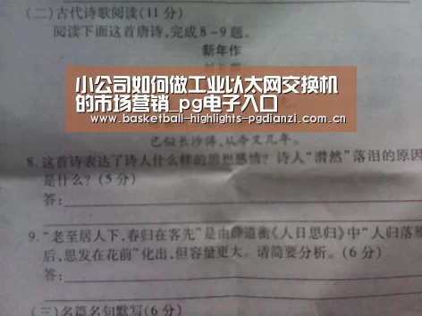 小公司如何做工业以太网交换机的市场营销_pg电子入口(图3) pg娱乐平台
