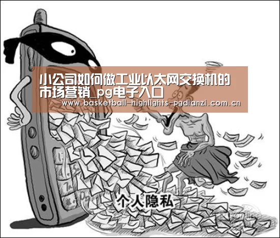 小公司如何做工业以太网交换机的市场营销_pg电子入口(图1) pg电子入口