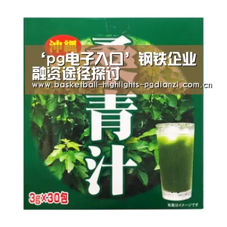‘pg电子入口’钢铁企业融资途径探讨(图3) pg电子入口