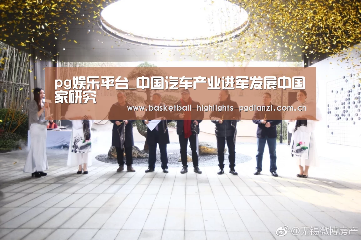 pg娱乐平台_中国汽车产业进军发展中国家研究(图1) pg娱乐平台